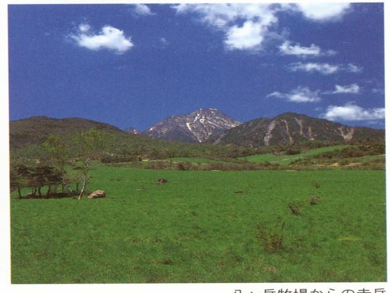 Kiyosato Pension Izumi Hokuto  Kültér fotó